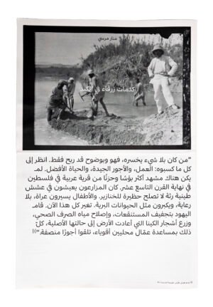 كدمات زرقاء في الكبد