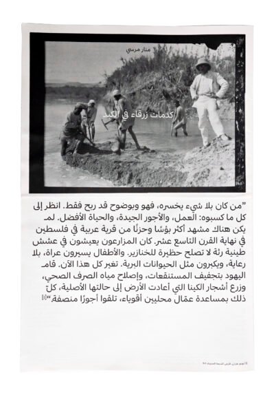كدمات زرقاء في الكبد