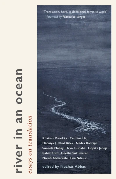 River in an Ocean: Essays on Translation